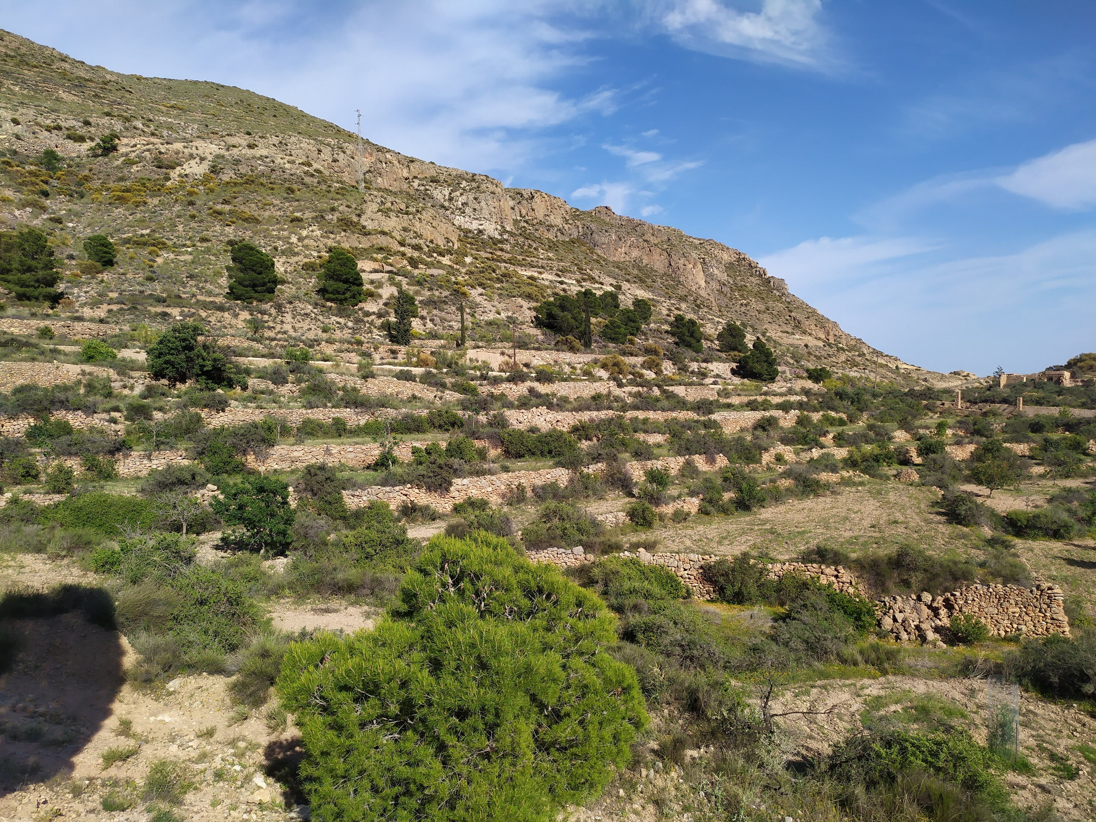Evaluating Biocultural Diversity and Socio-Ecological Vulnerability for the Conservation of Rural Areas in Spain (EmBraCe)