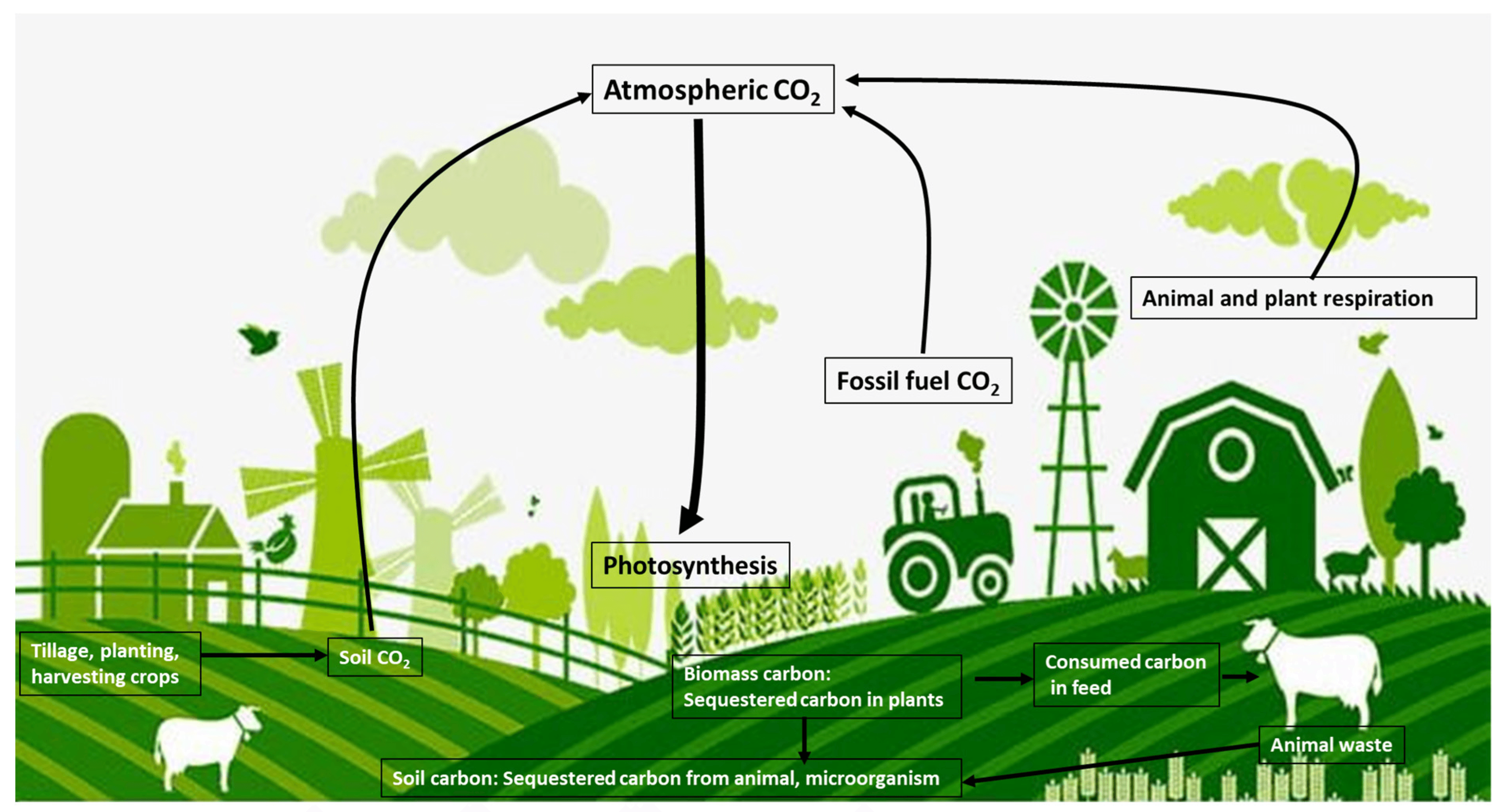Sustainability and governance of agri-food systems