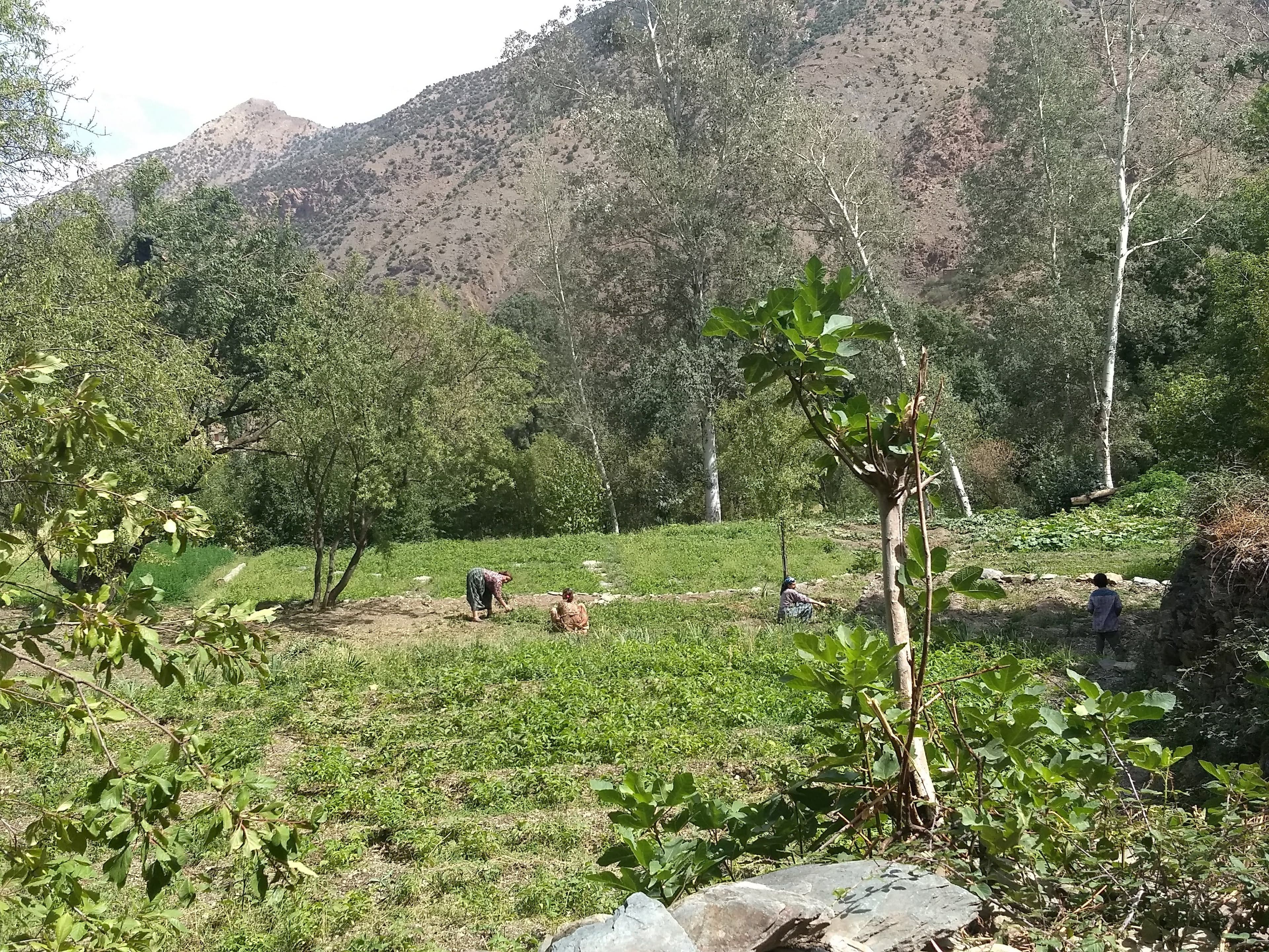 Fostering social-ecological resilience to preserve biocultural diversity in rural Spain (BioDIV)