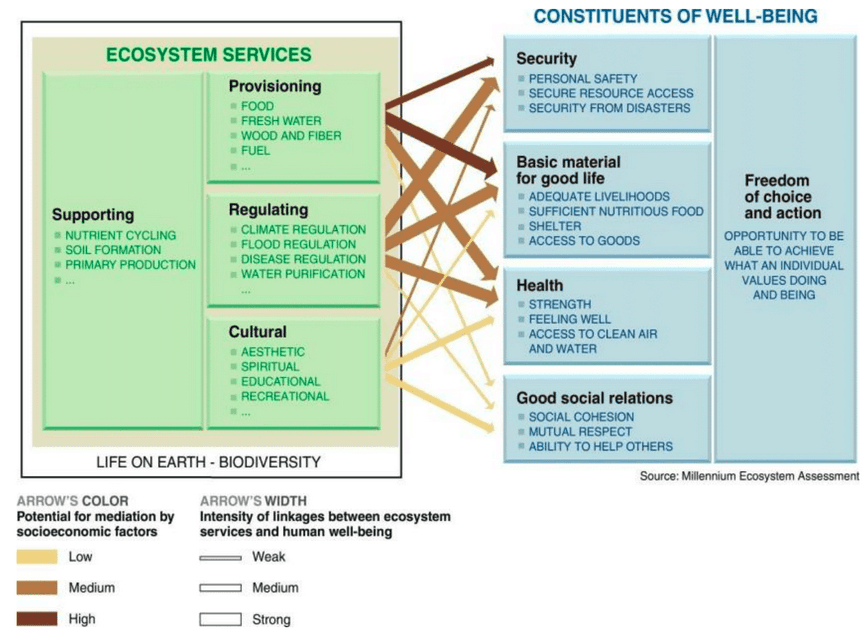 Valuation and mapping of ecosystem services forhuman wellbeing