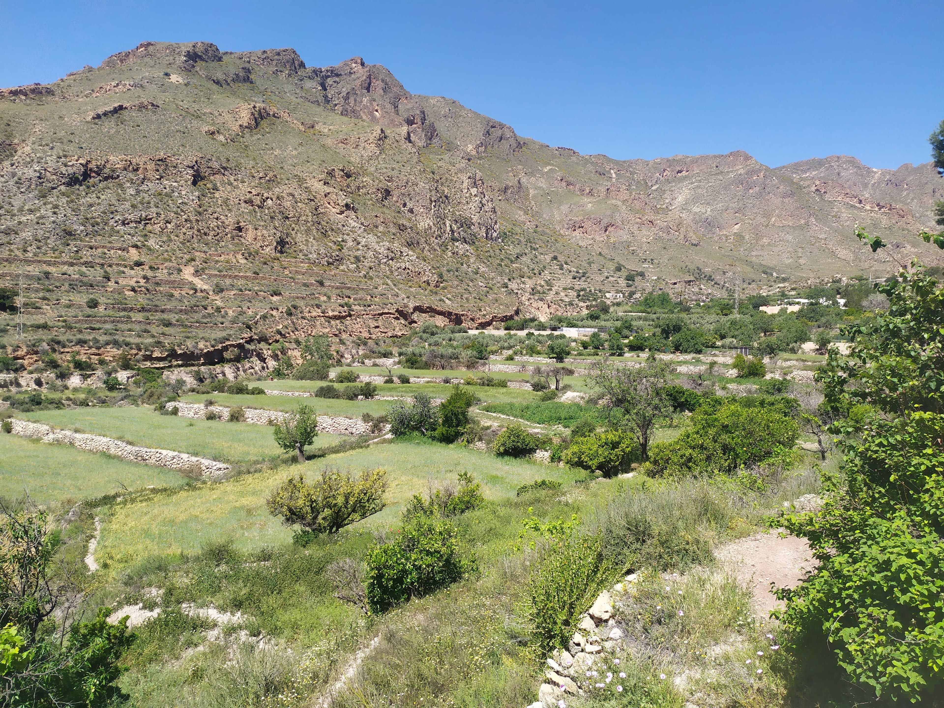 Evaluating Biocultural Diversity and Socio-Ecological Vulnerability for the Conservation of Rural Areas in Spain (EmBraCe)